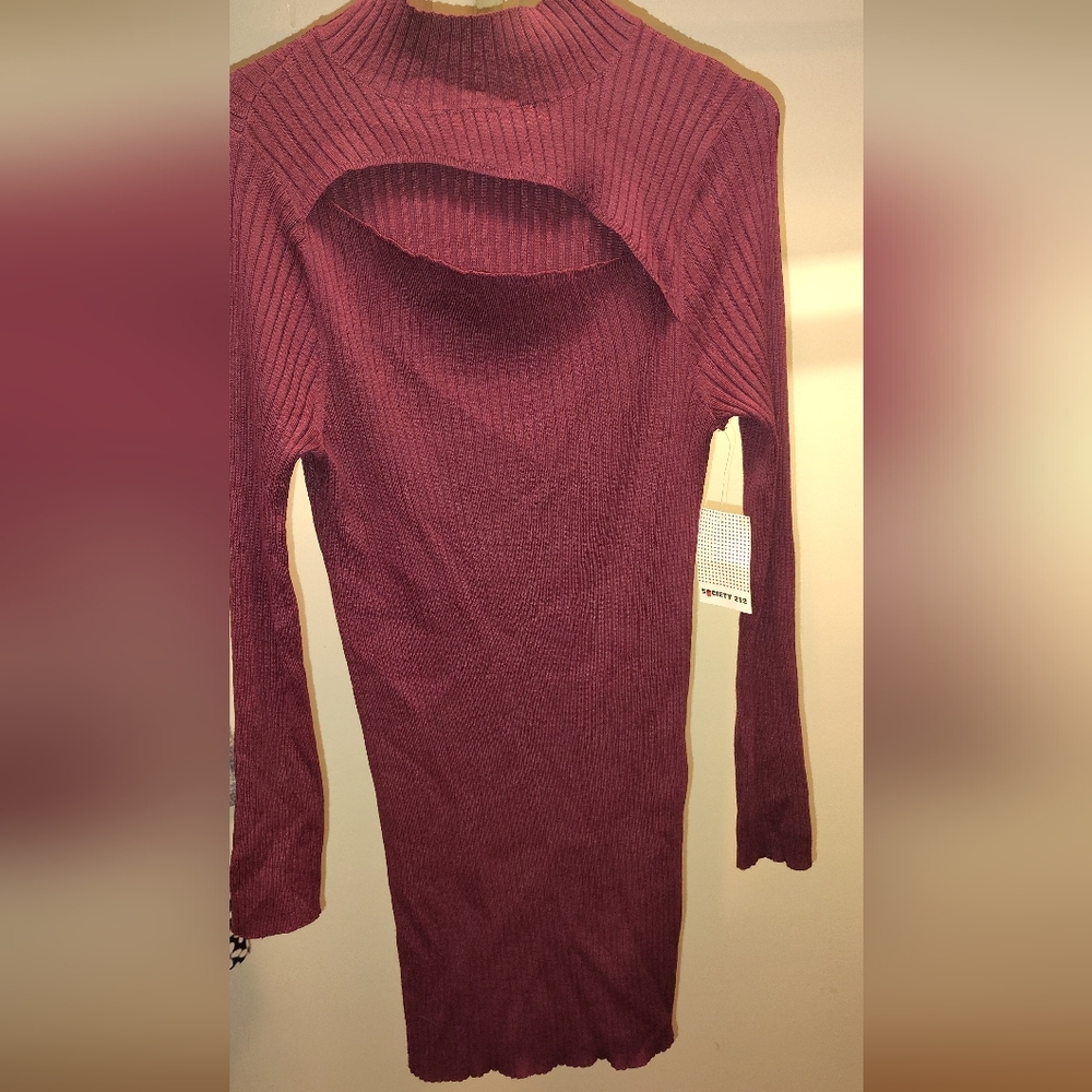 Burgundy  Ribbed Sweater Dress